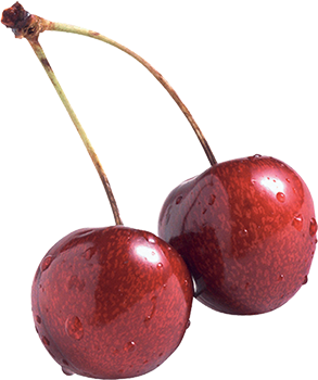 ciliegia (Prunus avium)