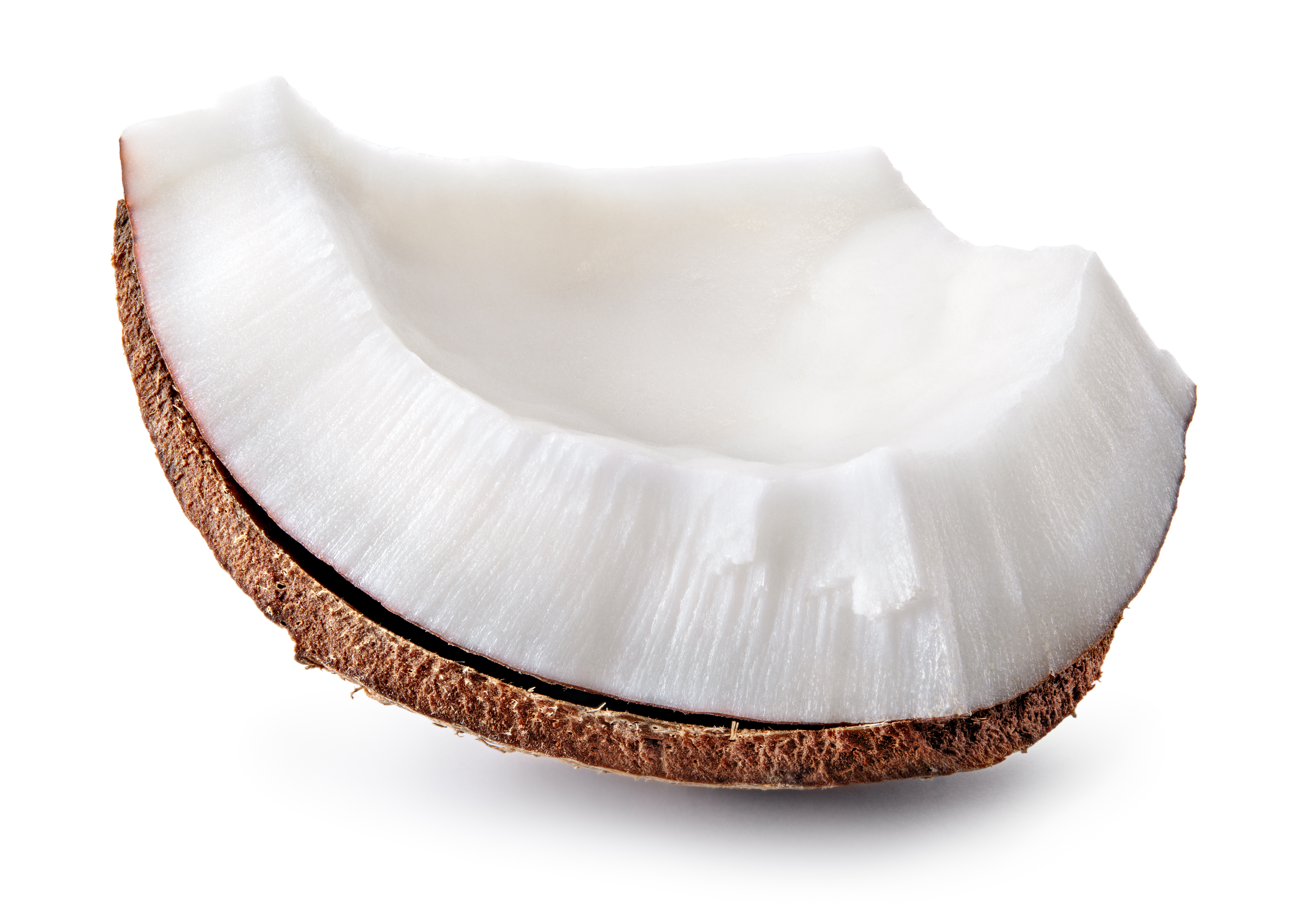 cocco (Cocos nucifera)